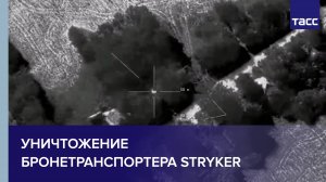 ВС РФ уничтожили БТР Stryker в Курской области