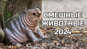 Смешные животные 2024 - попробуй не засмеяться! (№78) котики, котята