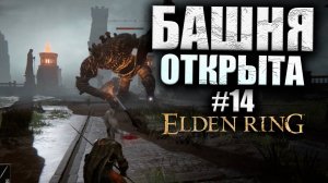 ВЕЛИКАЯ РУНА ГОДРИКА ELDEN RING #14 (16+)