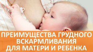 Грудное вскармливание. Почему это важно для малыша и мамы?