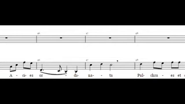 O Beata Mater (Solo&Bass) смотреть онлайн