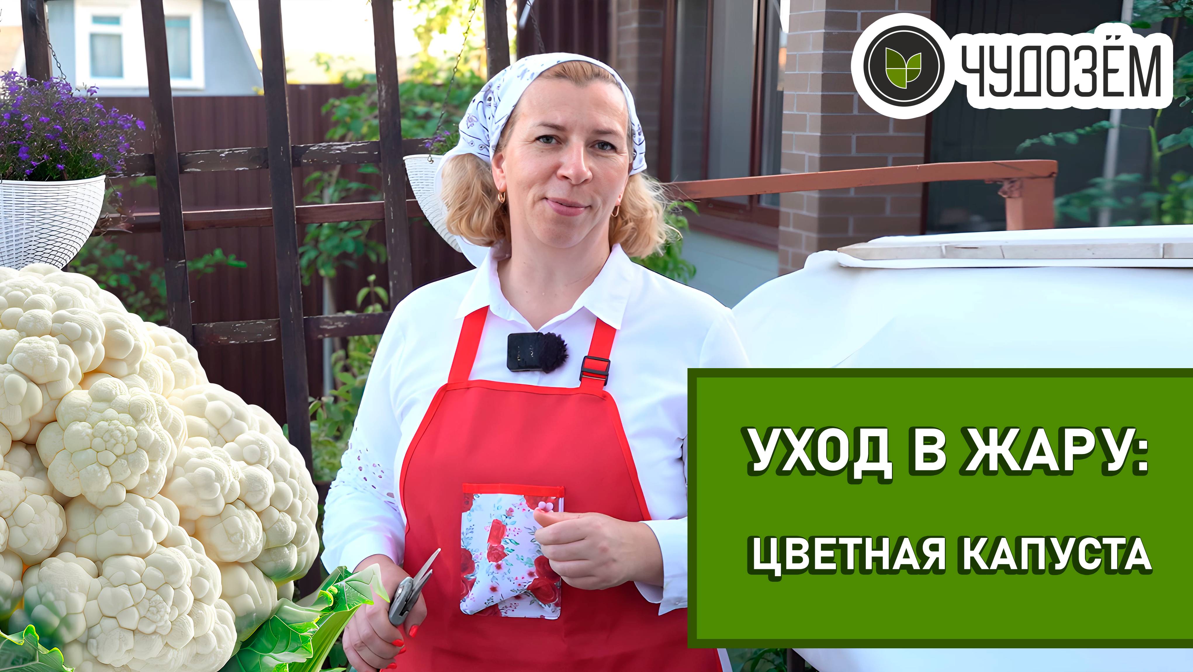 Оживите свои растения: профессиональные советы по удобрению и уходу!