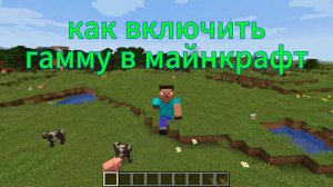 Как включить гамму в майнкрафте!!!