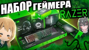 НЕ Бюджетный Набор Геймера RAZER с DNS _ Клавиатура, мышь, наушники, коврик, микрофон, вебка рейзер