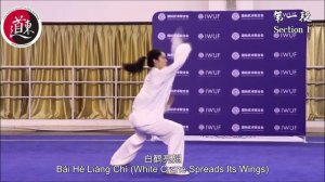 Произвольная тренировка Тайцзишань (веер) (движения без особой сложности)