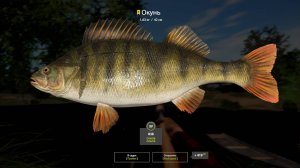 Русская Рыбалка 4 оз.Комариное Окунь  Ротан 19.09.24