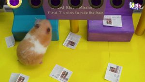 Побег из Лабиринта Монстров - Приключения Хомячка Хомы в Саду Банбана