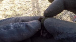 Коп с металоискателем Владимирская область, ручьи и старая деревня!