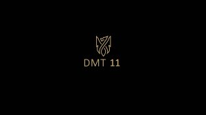 Пример видеозаписи DMT 11