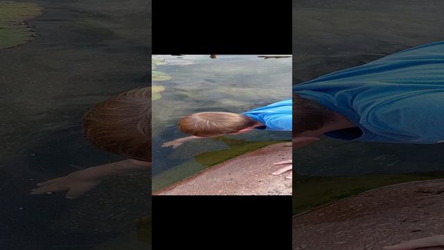 МЖК. Зеленоград смотреть онлайн