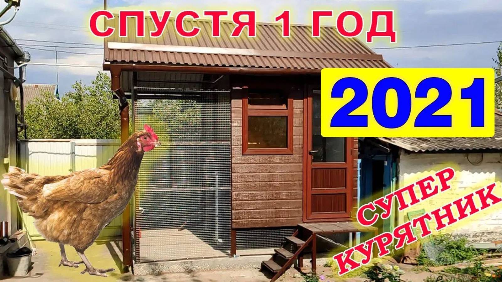 Что стало с курятником класса ЛЮКС через год?! смотреть онлайн