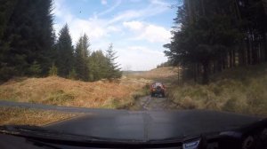 grizedale forrest green laning