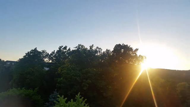 Naila - Froschgrün смотреть онлайн