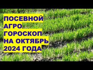 Посевной агрогороскоп на Октябрь 2024 года Sowing agro horoscope for October 2024