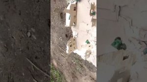 Войнушки" пластилиновая война"