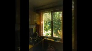 Tamas Deak "Vizisi" (вызывает настольгию)