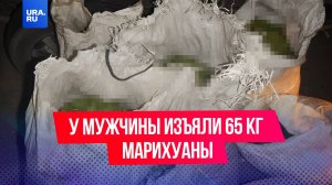 Запас на годы: у мужчины из Приморья изъяли 65 кг марихуаны