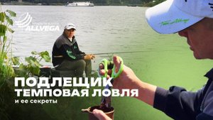 Подлещик в темпе! А как?