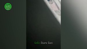 BEST SCARE CAM Priceless Reactions 2024😈#20 | Funny Videos TikTok🤣🤣 | CoCo Scare Cam |