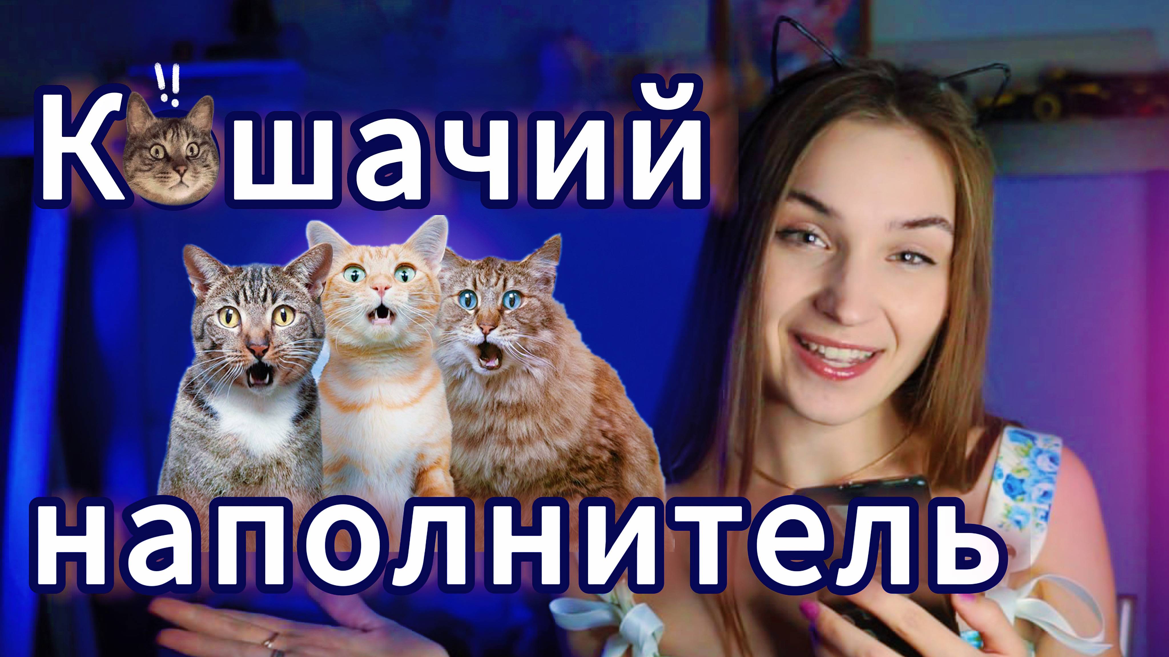 ВСЁ О КОШАЧЬИХ НАПОЛНИТЕЛЯХ! ВИДЫ. ЧТО ВЫБРАТЬ? #cats #котики #мейнкун