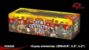 СЛУЖУ ОТЕЧЕСТВУ (0,8*/1*/1,2*х 200) РС9235