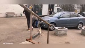 🤾♂️Эдик вышел на прогулку. Первые шаги к трезвости Эдуарда Моранди.