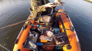 Ну очень трудовая щучка в этот раз.