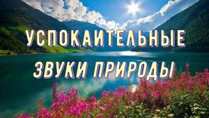 Звуки природы