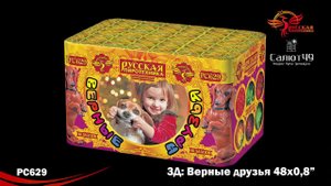 ВЕРНЫЕ ДРУЗЬЯ (0,8*х48) РС6550