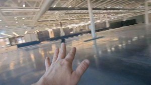 гусь хрустальный переезд