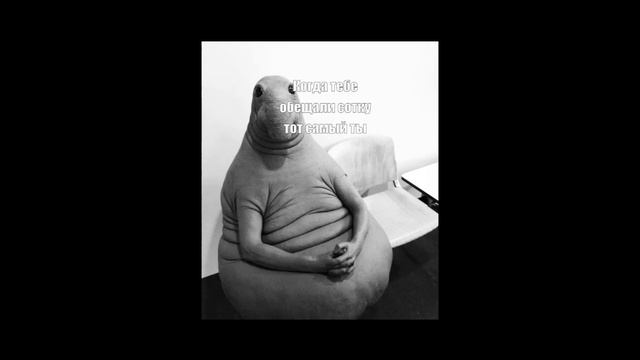 Мемы от Антитока смотреть онлайн