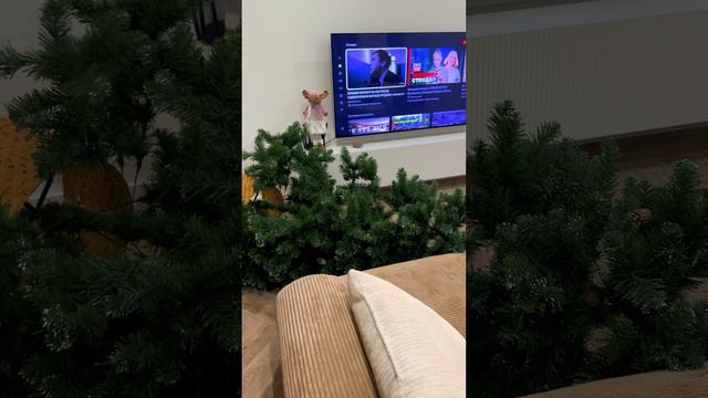 Когда кот такой дебил. Там вместо кота - сумка.