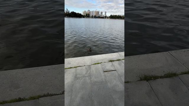 Прикольное местечко на мини набережной  #екатеринбург