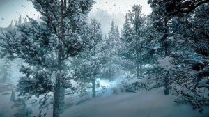 Обязательно слушайте перед сном Шум ветра со звуками падающего снега в красивом зимнем лесу