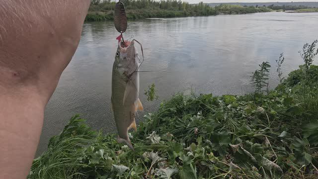 Поймал Жереха