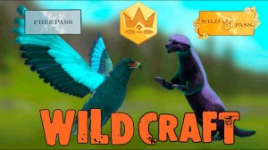 Задания, босс китайский Дракон, баги и ВайлдПасс  WildCraft