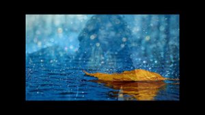 Демис  Руссос