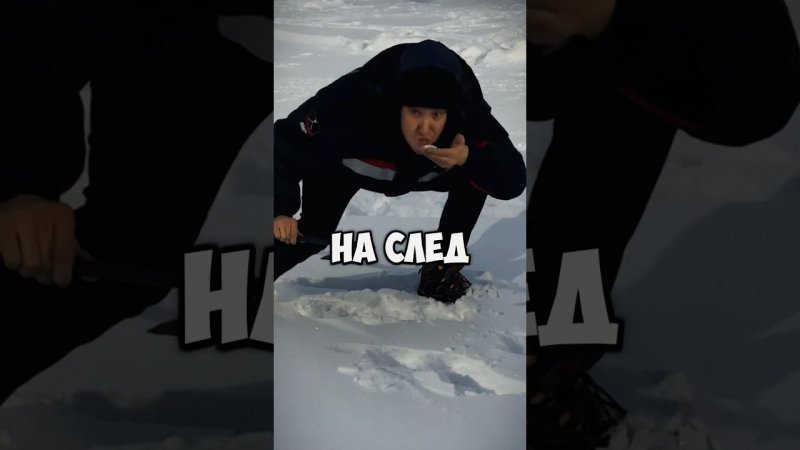 Где берут ЕДУ на крайнем СЕВЕРЕ?  ❄️
