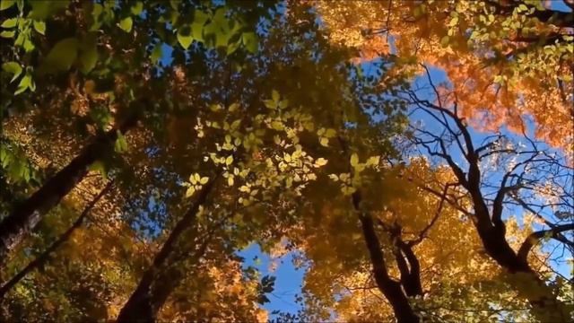 Елена Фролова - Греческая песня смотреть онлайн