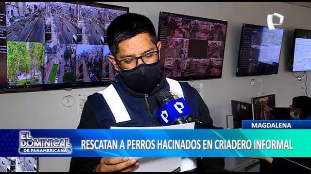 Magdalena: Rescatan a perros hacinados en criadero informal