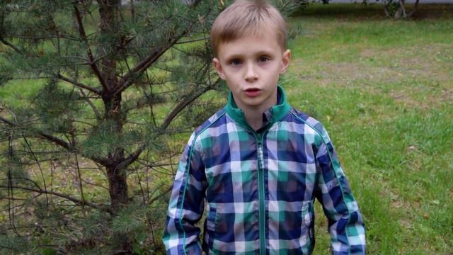 Отзыв Александра Балдина, 9 лет, о курсе 7 навыков активных, предприимчивых детей "ЛюБимый Жук" смотреть онлайн