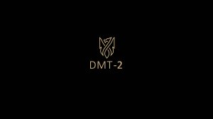 Пример видеозаписи видеорегистратора DMT 2