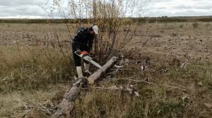 заготовка дрова, разпиловка брёвна бензопилой штиль 250