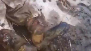 +18 Передовая   Попасная   видео с ограничением возраста