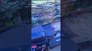 Отзыв клиента на электротрицикл WHITE SIBERIA TRIKE MINI 1500W (black)