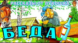 Беда — Рассказ | Михаил Зощенко Избранное 1923 год | Зощенко Юмористические Рассказы