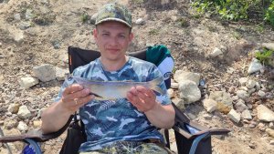 Рыбалка на Волге. Чехонь, густера, плотва на фидер.