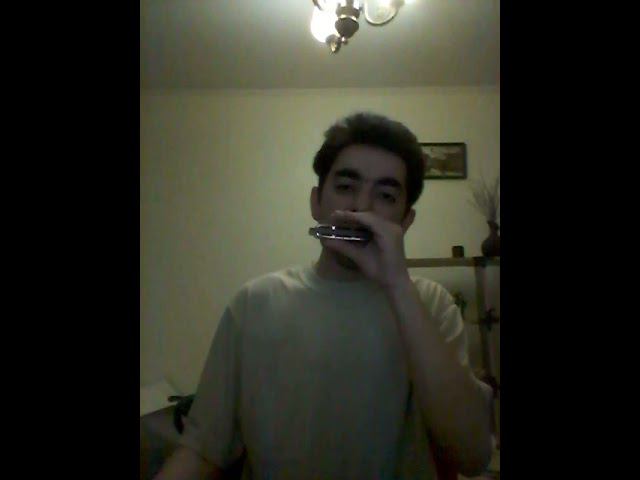 Down Low Blues. Joe Filisko's exercise. #stratocastro #harmonica #harp #губнаягармошка