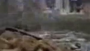 Так погибали в Чечне