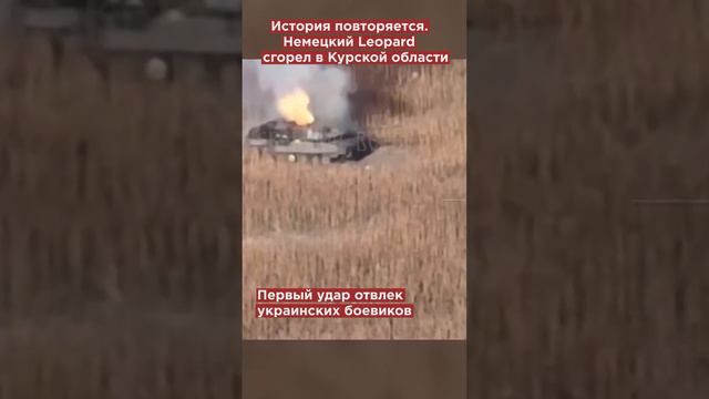 Немецкие танки снова пылают под Курском. Армия России сожгла Leopard #shotrs